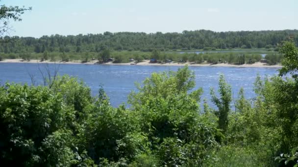 Vue de la rivière et des collines de derrière les arbres — Video