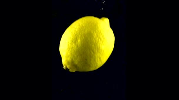 レモンはスローモーションで水に落ちる。アルファで黒い背景に隔離されています。クローズアップビュー — ストック動画