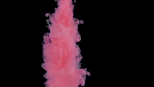 以慢动作在水中拍摄粉红色的油漆。墨水在水下盘旋。在黑色背景与 alpha 隔离的墨迹碰撞云。特写视图 — 图库视频影像