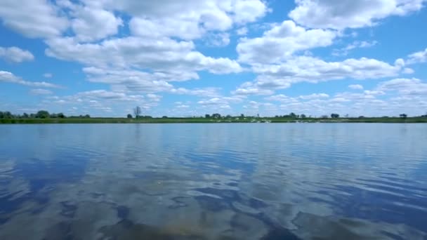 Cisnes brancos selvagens decolam do lago azul — Vídeo de Stock