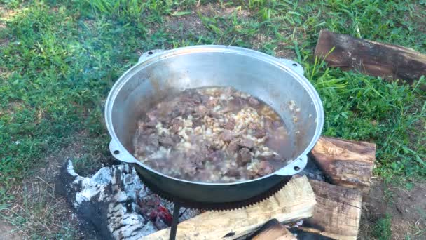 Carne con forúnculos de cebolla — Vídeo de stock