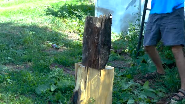 Чоловік нарізає деревину в природі — стокове відео