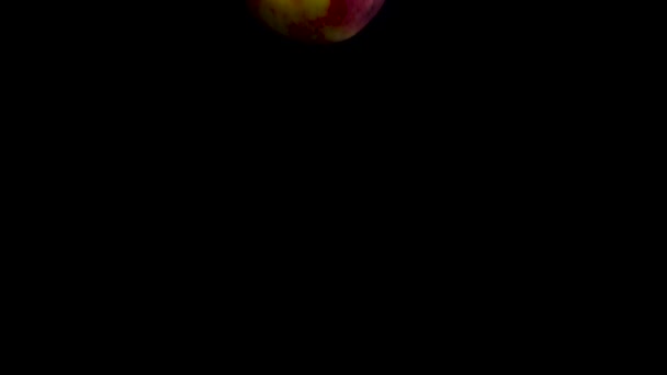 Персик падает в воду в замедленной съемке. Изолирован на черном фоне с альфой. Закрыть вид — стоковое видео