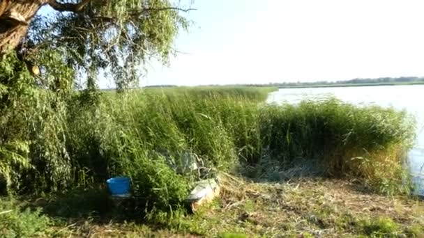 Хлопчик їде на стрибках у банджі — стокове відео