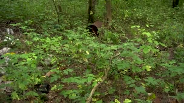 Afval werd in het bos gegooid. Mensen maakten een vuilnisbelt in het bos. Milieuverontreiniging — Stockvideo
