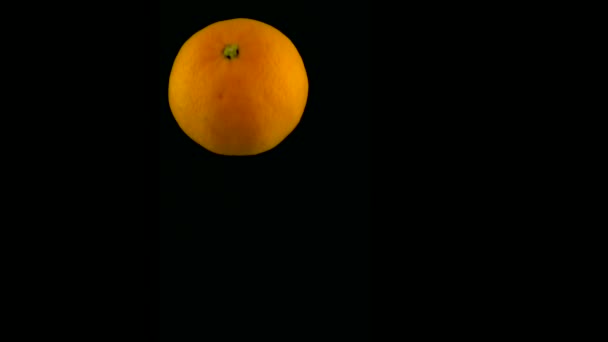 A mandarin lassítva esik a vízbe. Alfával elszigetelve, fekete háttérrel. Közelkép — Stock videók