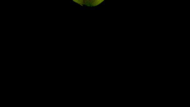 La pera cade in acqua al rallentatore. Isolato su sfondo nero con alfa. Vista da vicino — Video Stock