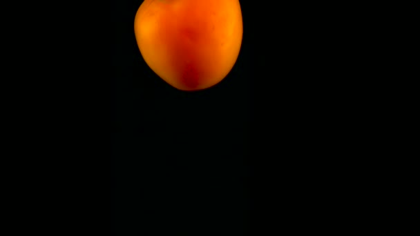 Tomaten faller i vattnet i slow motion. Isolerad på svart bakgrund med alfa. Närbild — Stockvideo