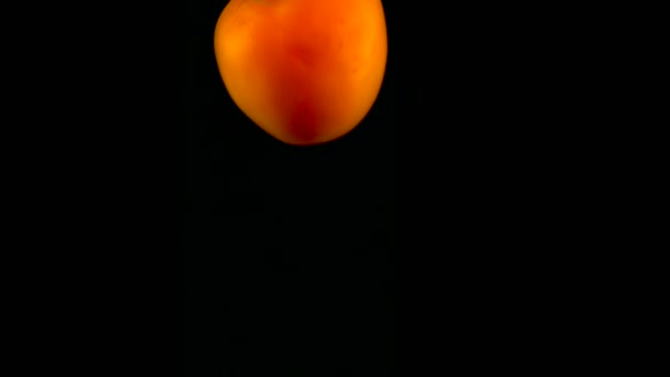 Il pomodoro cade in acqua al rallentatore. Isolato su sfondo nero con alfa. Vista da vicino — Video Stock