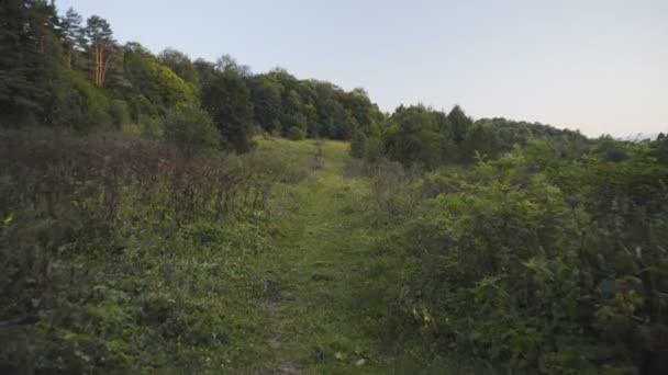 Une promenade dans les bois 