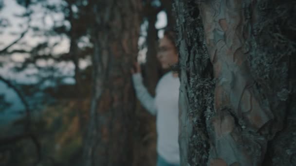 La fille regarde les montagnes — Video