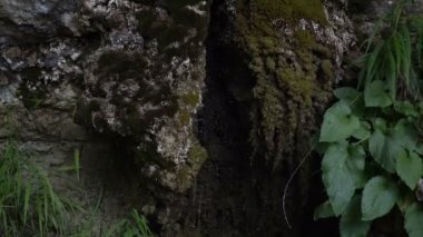 Kaynak kayaçlardan akar