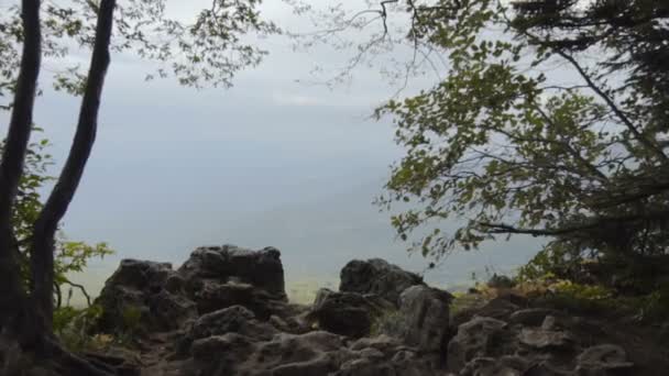 Uitzicht op het bos vanaf de klif — Stockvideo