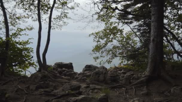 Erdei kilátás a szikláról — Stock videók