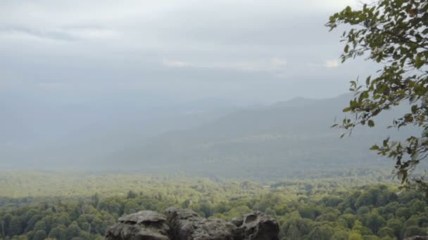 Vistas da floresta do penhasco — Vídeo de Stock