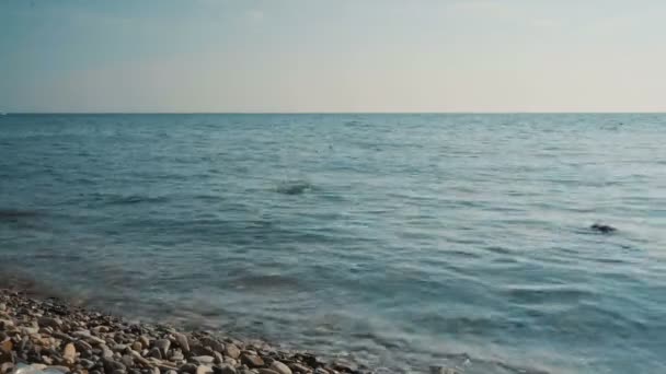 Piedra saltando en el mar — Vídeos de Stock