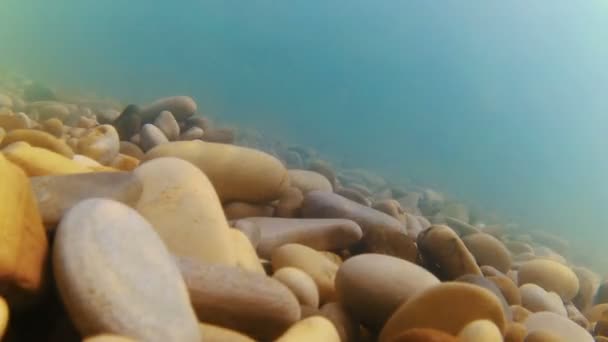 Pegou pedras do fundo do mar — Vídeo de Stock