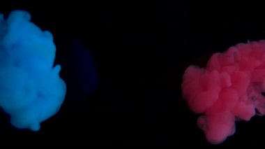 Gerçek çekim mavi ve kırmızı boya suda. Mürekkep suyun altında dönüyor. Alfa ile siyah arka plan üzerinde izole mürekkep çarpışma bulutu. Yakından görüş. 4k