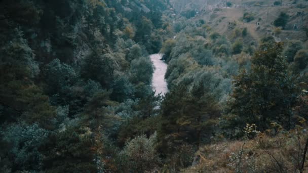 Pohled na řeku z nad středem lesa — Stock video