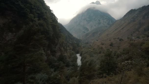 Mount'taki nehir ormanı — Stok video