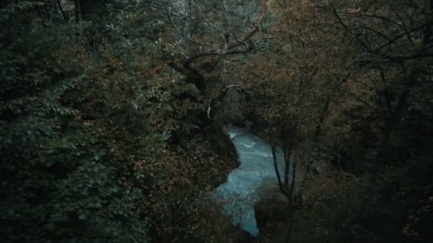 Uitzicht op de rivier van boven het midden van het bos — Stockvideo