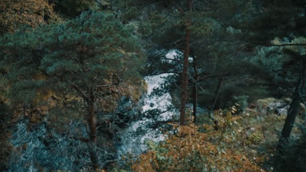 Vista sul fiume dall'alto nel mezzo della foresta — Video Stock