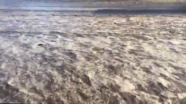 汽车在水上行驶 — 图库视频影像