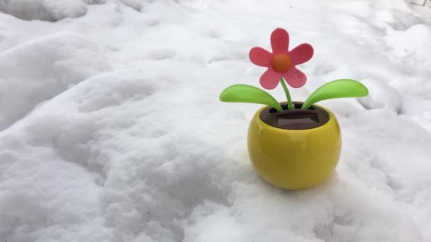 雪中的玩具花 — 图库视频影像