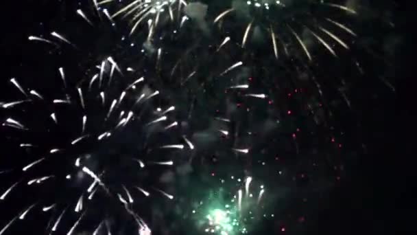 Feuerwerk am Himmel — Stockvideo