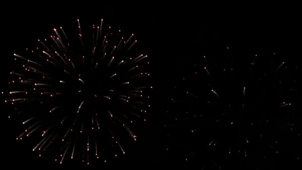 Tűzijáték az égen — Stock videók