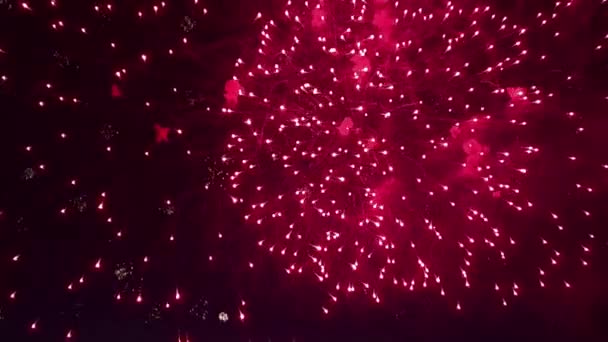 Vuurwerk in de lucht — Stockvideo