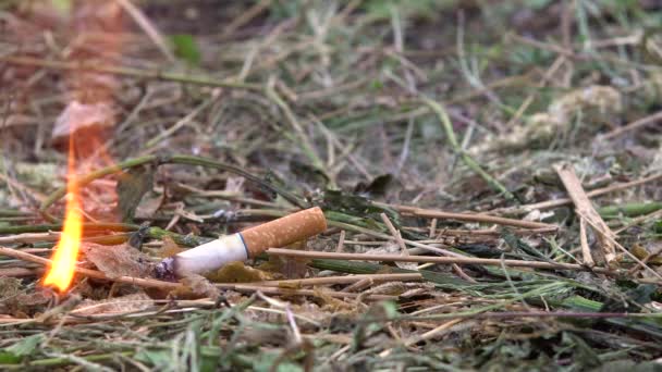 El cigarrillo tirado prendió fuego a la hierba. Un hombre tiró un cigarrillo en la hierba seca. Peligro de incendio. 4k — Vídeo de stock