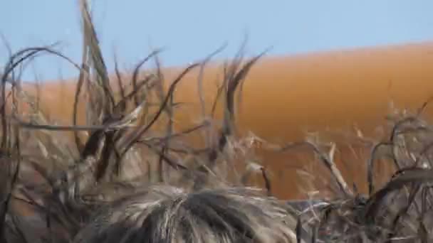 Effet subwoofer sur les cheveux 