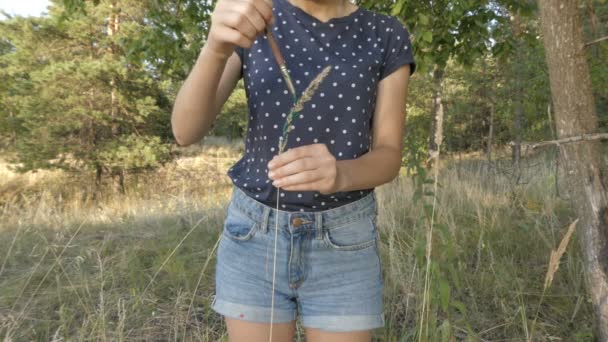 Fille peint la plante verte — Video