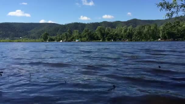 Widok na niebieską rzekę. Daleko zielone drzewa — Wideo stockowe