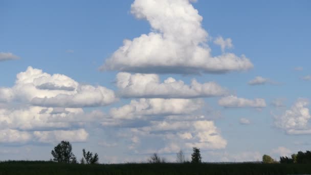 Muchas nubes en el horizonte — Vídeo de stock