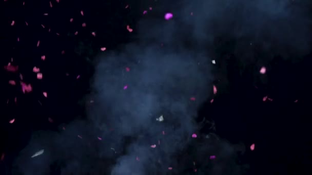 I fuochi d'artificio Confetti girano davvero su uno sfondo nero. Rallentatore — Video Stock