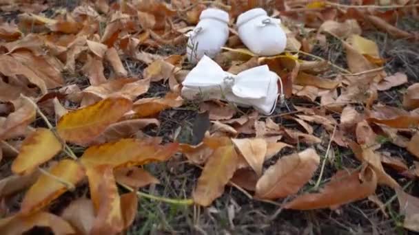 Chaussons de bébé et un arc reposent sur les feuilles jaunes tombées — Video