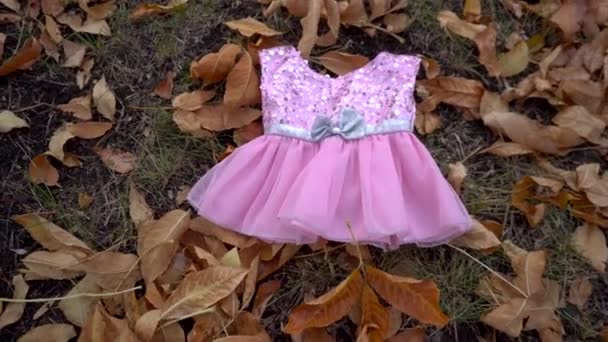 Vestito rosa bambino giace su foglie gialle cadute — Video Stock