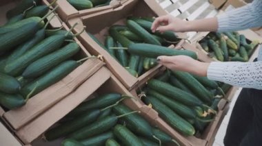 Piyasadan bir salatalık seçer