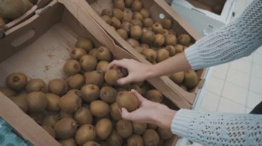 Piyasadaki Kivi 'leri seçer