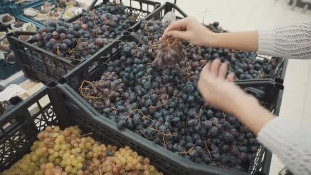 Selecteert blauwe druiven op de markt — Stockvideo