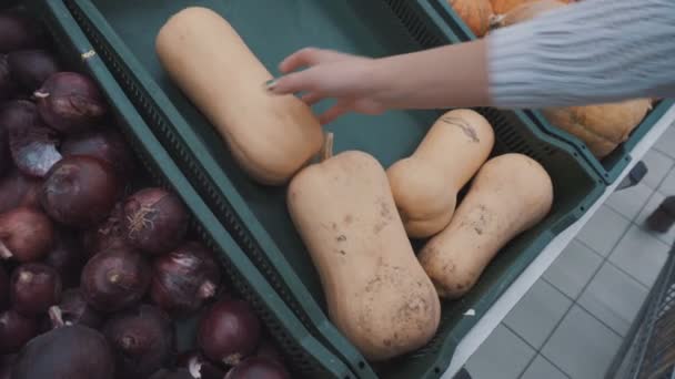 Selecteert een pompoen op de markt — Stockvideo