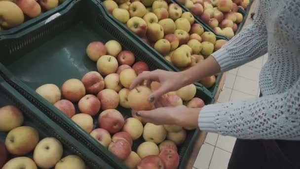 Dívka sbírá jablka na trhu — Stock video