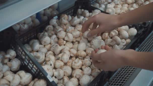 Una ragazza sceglie i funghi sul mercato — Video Stock