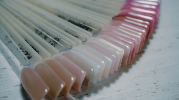 Color examples of nails in the salon manicure — Stock Video