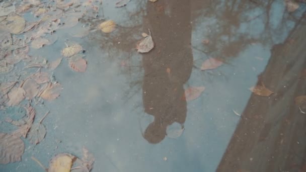 In the puddle on the street is reflected the girl in the coat — Stock Video