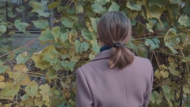 Una ragazza con un cappotto viola sta con la schiena sullo sfondo di foglie di uva selvatica. Autunno, le foglie diventano gialle — Video Stock