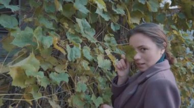 Mor paltolu bir kız, yabani üzüm yapraklarının arka planında durur ve göze üzüm yaprağı koyar. Sonbahar, yapraklar sararır.