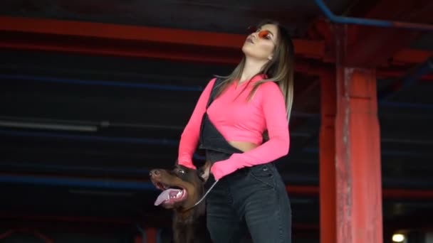 Doberman pies strzegący modnej dziewczyny — Wideo stockowe
